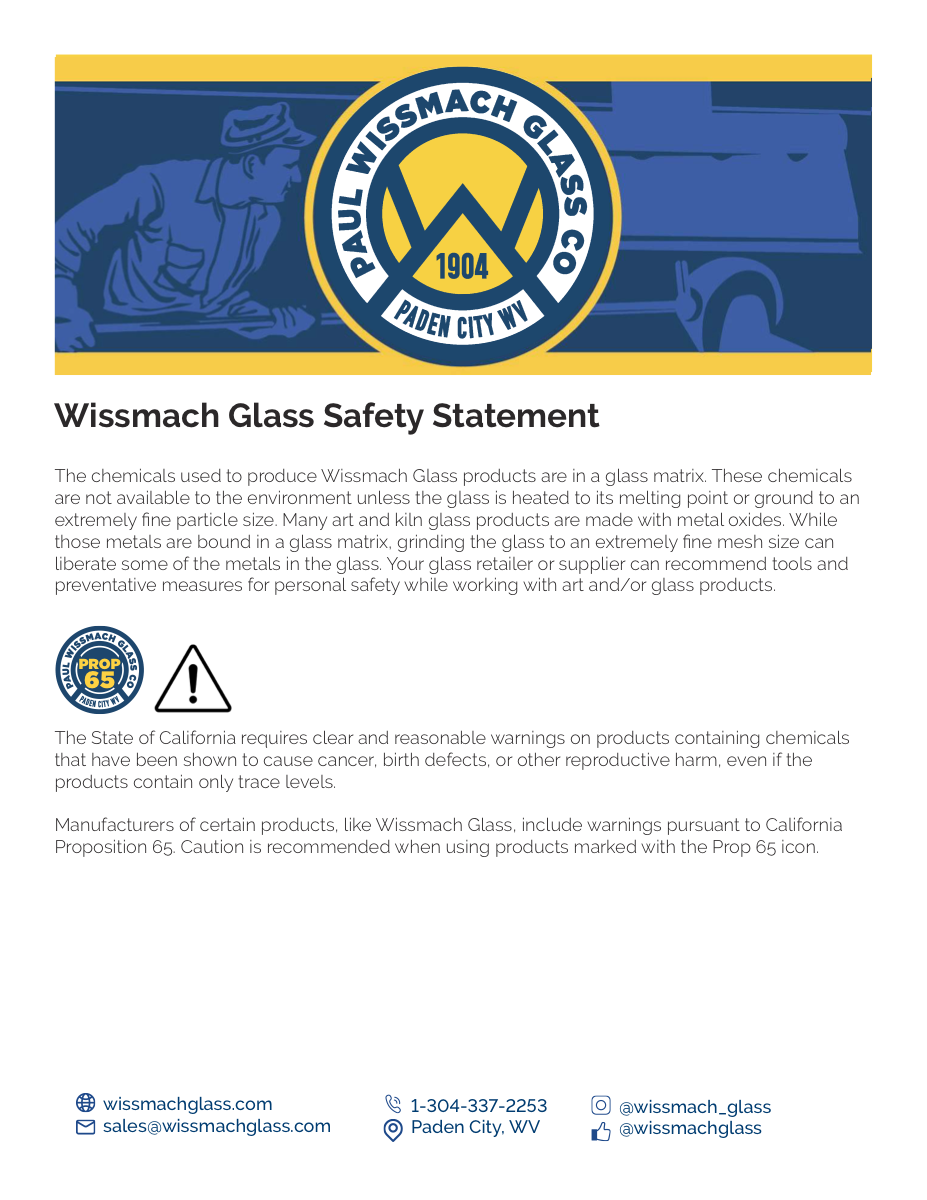 Preview image for Safety Statement and Considerations